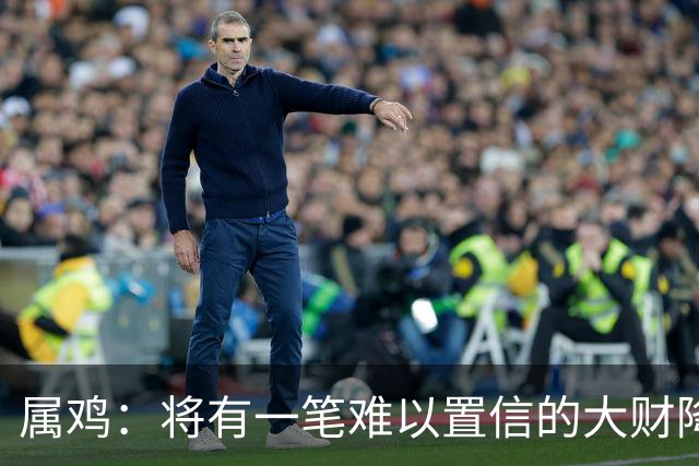 属鸡：将有一笔难以置信的大财降临，2027年，你要乐开花！