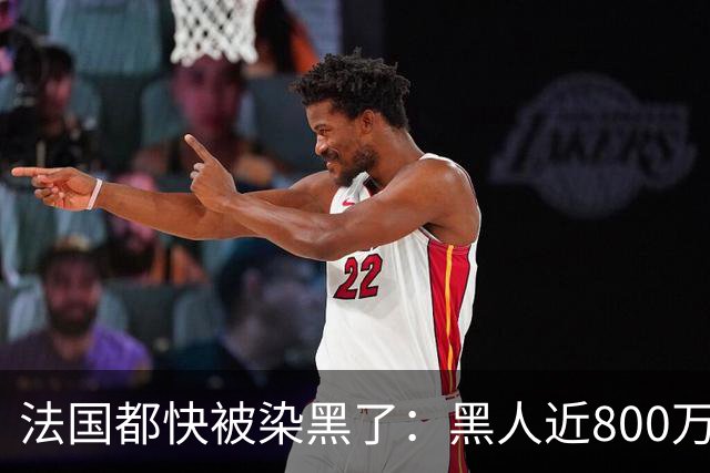 法国都快被染黑了：黑人近800万，巴黎的新生儿，黑皮肤近70%